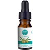 ACEITE DE OLIVA BAENA SALUD CON 20% CBD 10ML