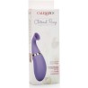 ESTIMULADOR DE CLITORIS RECARGABLE MORADO